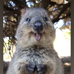 Meet your Posher, Angelica